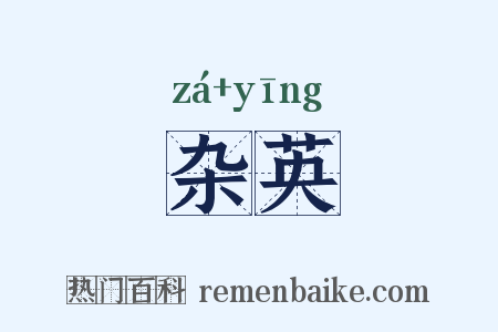 杂英是什么意思的图片